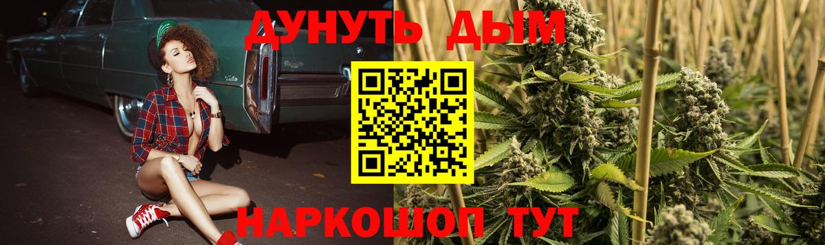 Шишки марихуана White Widow Кохма